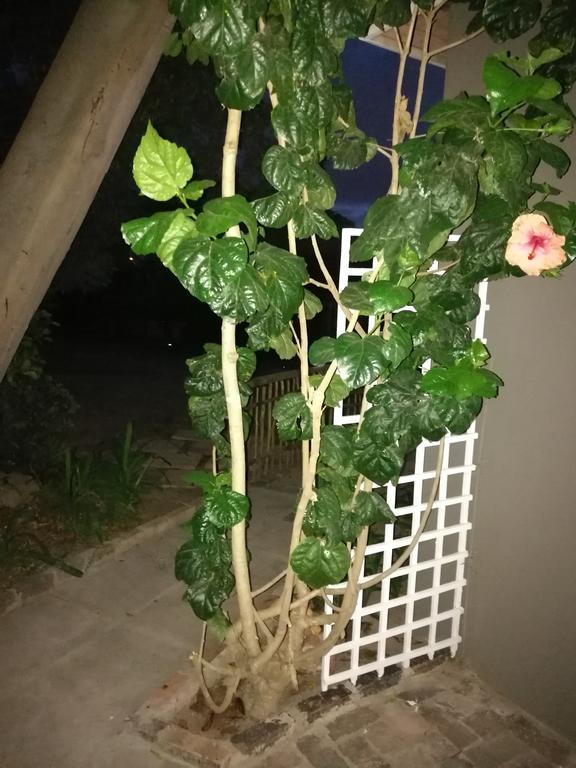 Willows Curve Somerset West Εξωτερικό φωτογραφία